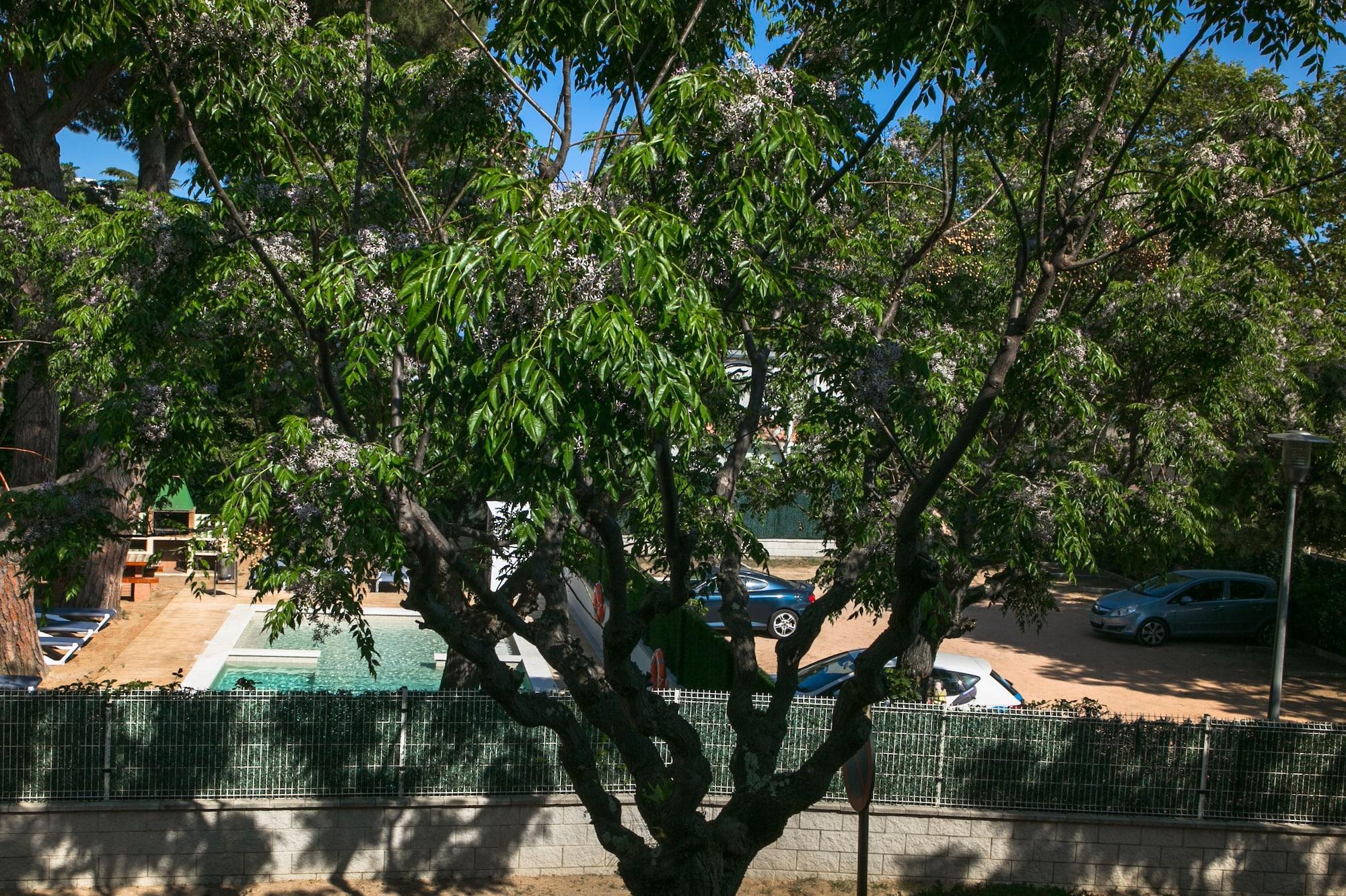 Rvapartaments Benelux Platja d'Aro Εξωτερικό φωτογραφία